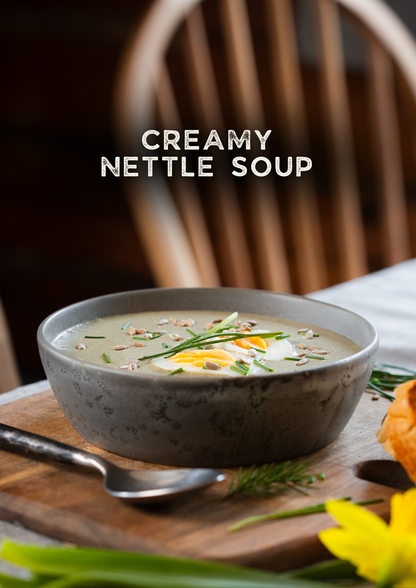 Cooking with Kalle - New Classics From The North